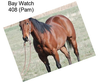 Bay Watch 408 (Pam)
