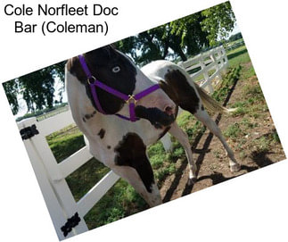 Cole Norfleet Doc Bar (Coleman)