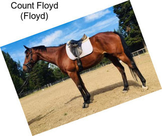 Count Floyd (Floyd)