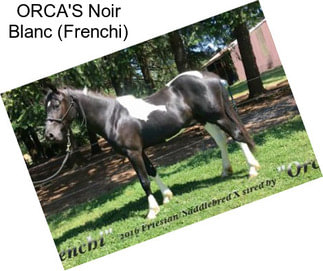 ORCA\'S Noir Blanc (Frenchi)