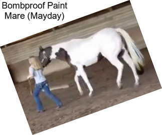 Bombproof Paint Mare (Mayday)