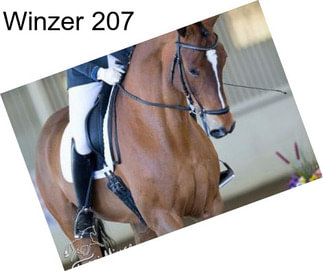 Winzer 207