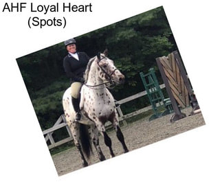 AHF Loyal Heart (Spots)