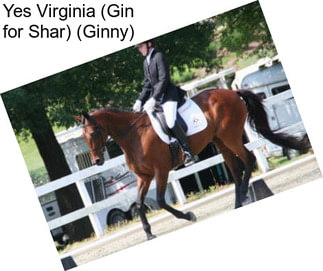 Yes Virginia (Gin for Shar) (Ginny)