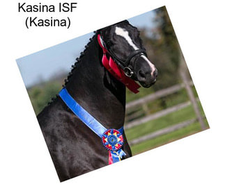 Kasina ISF (Kasina)