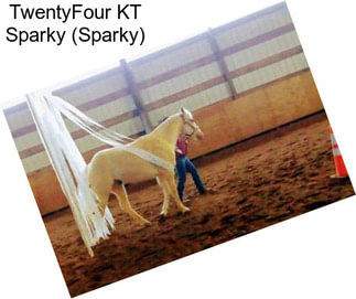 TwentyFour KT Sparky (Sparky)