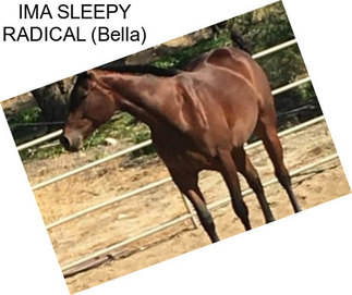 IMA SLEEPY RADICAL (Bella)