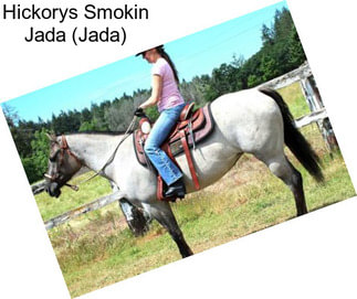 Hickorys Smokin Jada (Jada)