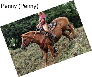 Penny (Penny)