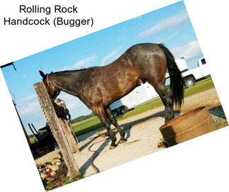 Rolling Rock Handcock (Bugger)