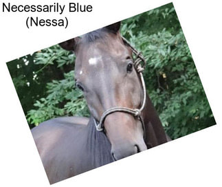Necessarily Blue (Nessa)