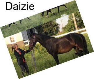 Daizie