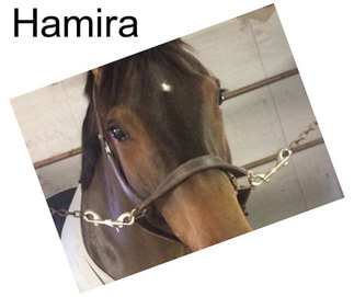 Hamira