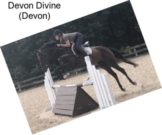Devon Divine (Devon)
