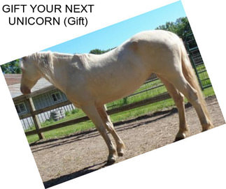 GIFT YOUR NEXT UNICORN (Gift)