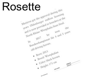 Rosette