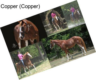 Copper (Copper)