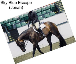 Sky Blue Escape (Jonah)