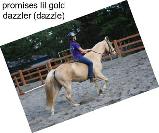 Promises lil gold dazzler (dazzle)