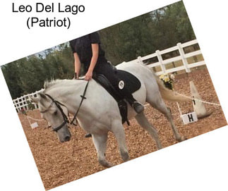 Leo Del Lago (Patriot)