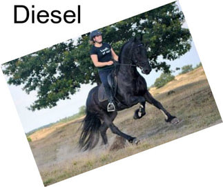 Diesel