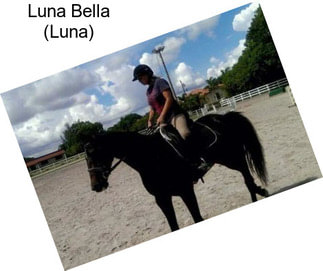 Luna Bella (Luna)