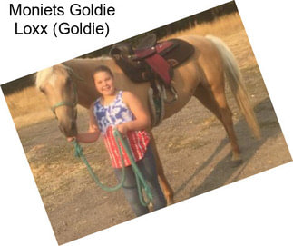 Moniets Goldie Loxx (Goldie)