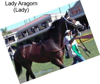 Lady Aragorn (Lady)