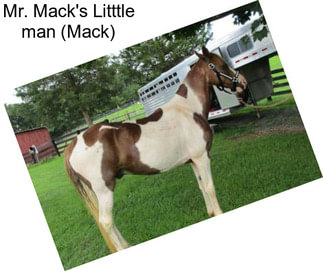 Mr. Mack\'s Litttle man (Mack)