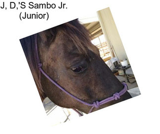 J, D,\'S Sambo Jr. (Junior)