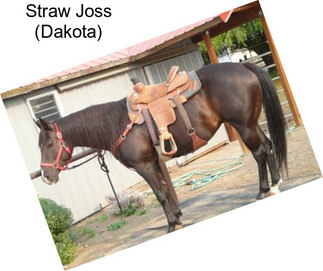 Straw Joss (Dakota)