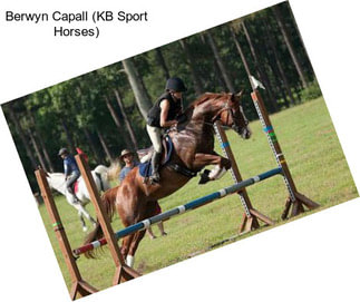 Berwyn Capall (KB Sport Horses)