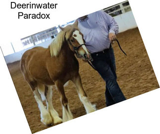 Deerinwater Paradox