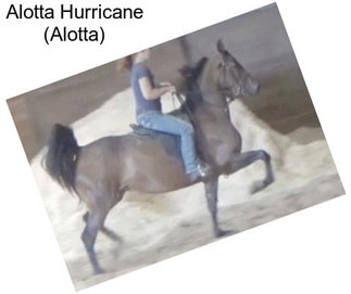 Alotta Hurricane (Alotta)