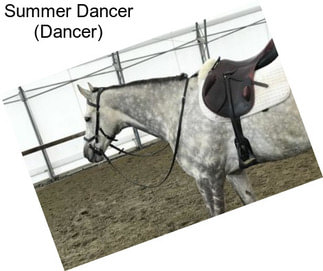 Summer Dancer (Dancer)