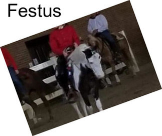 Festus