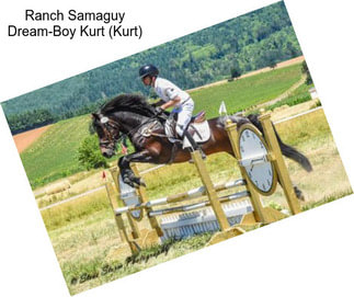 Ranch Samaguy Dream-Boy Kurt (Kurt)