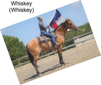 Whiskey (Whiskey)