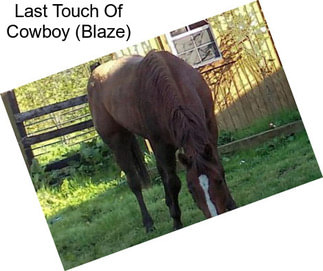 Last Touch Of Cowboy (Blaze)