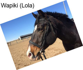 Wapiki (Lola)