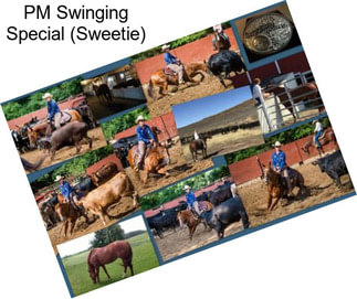 PM Swinging Special (Sweetie)