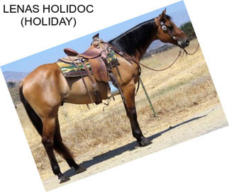 LENAS HOLIDOC (HOLIDAY)