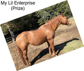 My Lil Enterprise (Prize)