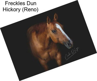 Freckles Dun Hickory (Reno)