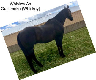 Whiskey An Gunsmoke (Whiskey)