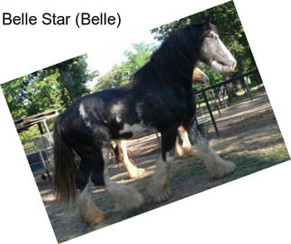 Belle Star (Belle)