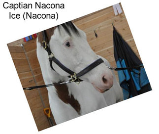 Captian Nacona Ice (Nacona)