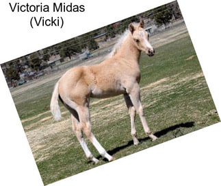 Victoria Midas (Vicki)