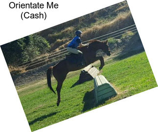 Orientate Me (Cash)