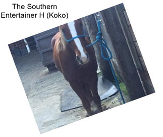 The Southern Entertainer H (Koko)